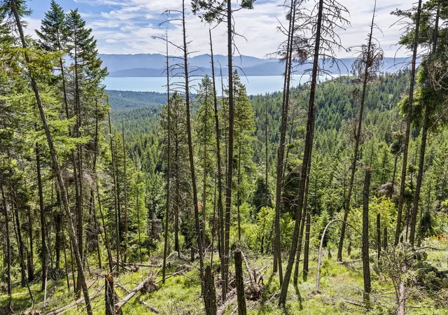 1st image of 64 Loan Wolf Trl, Lakeside, MT 59922 | MLS# 30073322