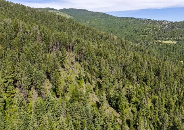 28th image of 64 Loan Wolf Trl, Lakeside, MT 59922 | MLS# 30073322