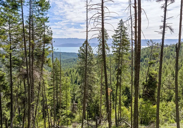 2nd image of 64 Loan Wolf Trl, Lakeside, MT 59922 | MLS# 30073322