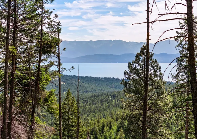 3rd image of 64 Loan Wolf Trl, Lakeside, MT 59922 | MLS# 30073322