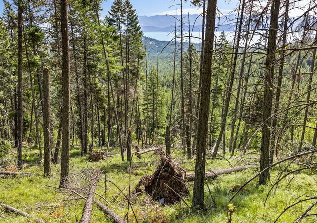 4th image of 64 Loan Wolf Trl, Lakeside, MT 59922 | MLS# 30073322