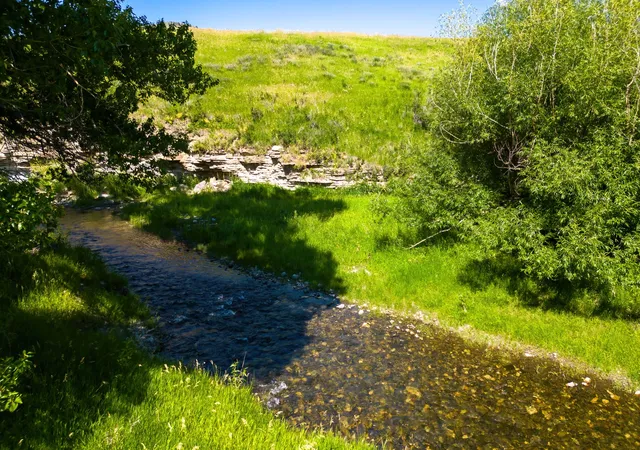 Homes for sale in Highwood, MT | Tbd Upper Highwood Creek Rd, Highwood, MT 59450 | MLS# 30073340