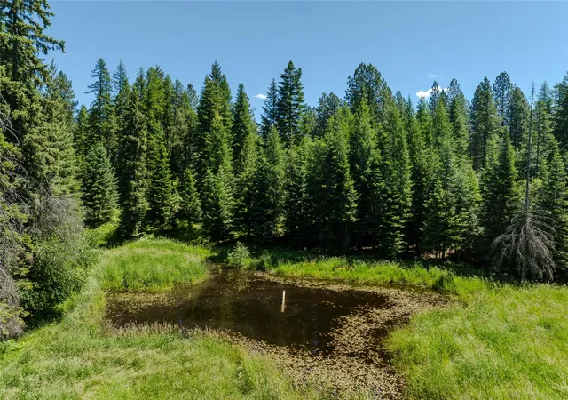 Homes for sale in Trout Creek, MT | 32 Whitepine Creek Rd, Trout Creek, MT 59874 | MLS# 30073237