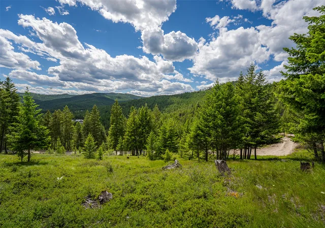 Homes for sale in Kalispell, MT | 2342 Sirius View, Kalispell, MT 59901 | MLS# 30073367