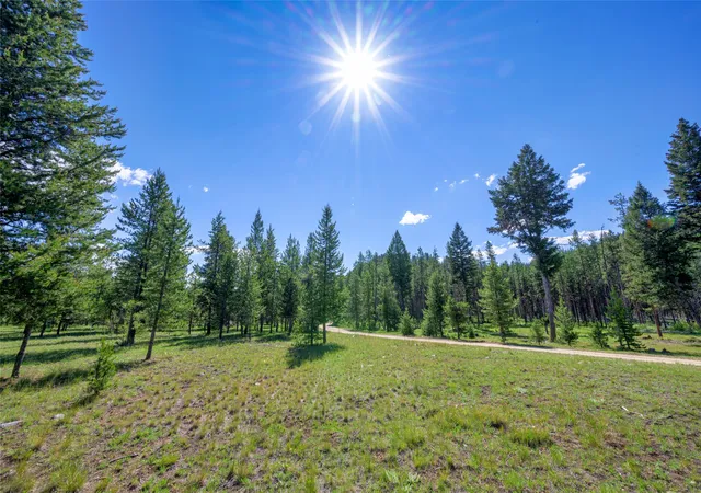 4th image of Nhn Happy Acres Ln, Sula, MT 59871 | MLS# 30073453