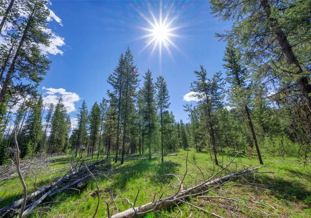 5th image of Nhn Happy Acres Ln, Sula, MT 59871 | MLS# 30073453