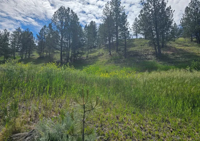 3rd image of 569 Creek Hollow Wy, Florence, MT 59833 | MLS# 30073479