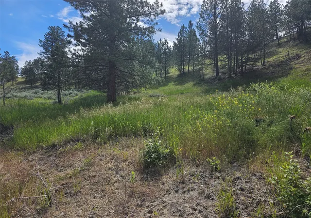 4th image of 569 Creek Hollow Wy, Florence, MT 59833 | MLS# 30073479