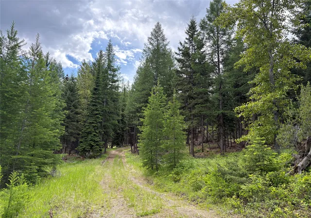 Homes for sale in Trego, MT | 2662 Butcher Creek Rd, Trego, MT 59934 | MLS# 30073448