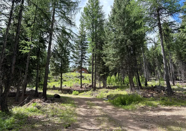 Homes for sale in Trego, MT | 2662 Butcher Creek Rd, Trego, MT 59934 | MLS# 30073448