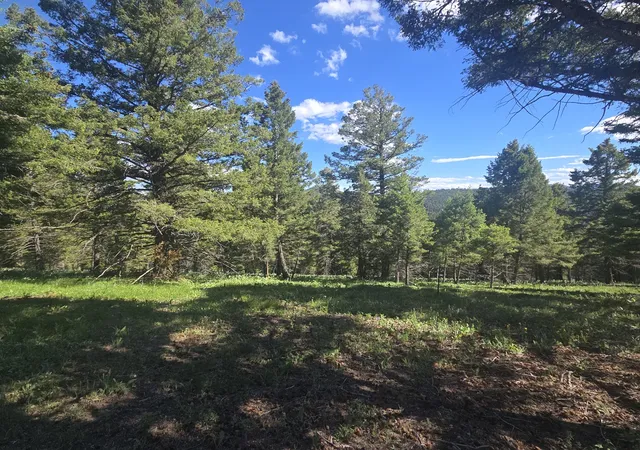 Homes for sale in Helmville, MT | 28 Muskrat, Helmville, MT 59843 | MLS# 30073562