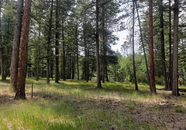 1st image of 19425 Pond Rd, Frenchtown, MT 59834 | MLS# 30073607
