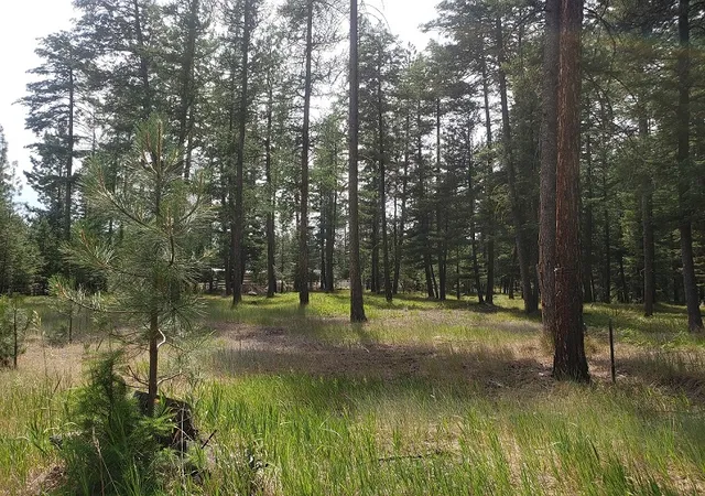 3rd image of 19425 Pond Rd, Frenchtown, MT 59834 | MLS# 30073607