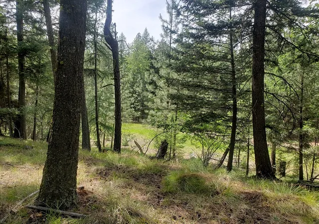 4th image of 19425 Pond Rd, Frenchtown, MT 59834 | MLS# 30073607