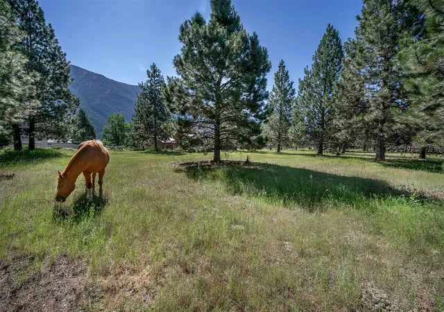 25th image of Nhn Tumbleweed, Columbia Falls, MT 59912 | MLS# 30073498