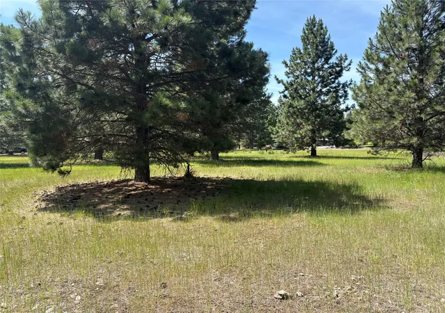 3rd image of Nhn Tumbleweed, Columbia Falls, MT 59912 | MLS# 30073498