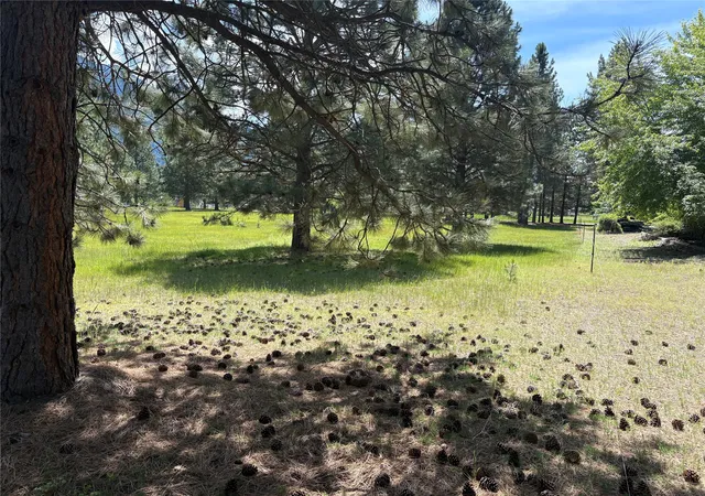 4th image of Nhn Tumbleweed, Columbia Falls, MT 59912 | MLS# 30073498