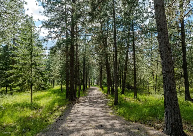 Homes for sale in Ronan, MT | 42439 Canal Rd, Ronan, MT 59864 | MLS# 30073616
