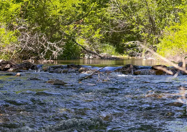 3rd image of 2623 Little Wolf Creek Rd, Wolf Creek, MT 59648 | MLS# 30073071