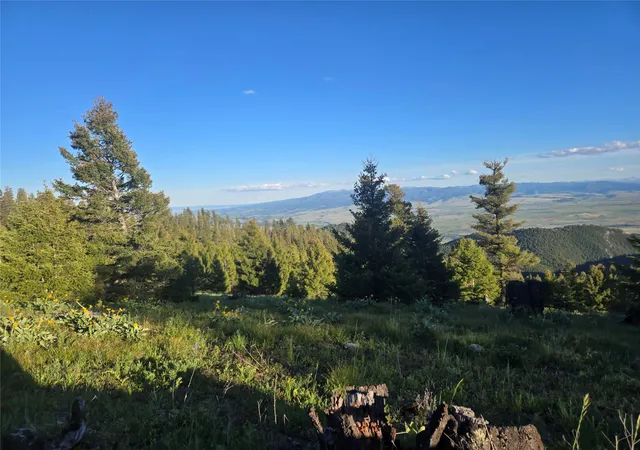 Homes for sale in Drummond, MT | 1 Big Sky Ridge Rd, Drummond, MT 59832 | MLS# 30073666