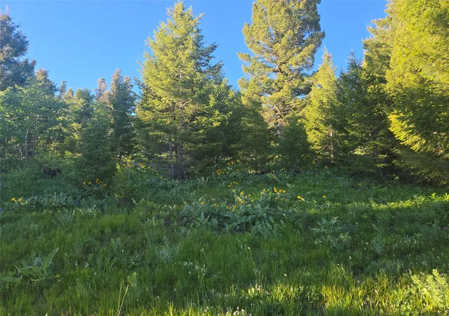 Homes for sale in Drummond, MT | 1 Big Sky Ridge Rd, Drummond, MT 59832 | MLS# 30073666