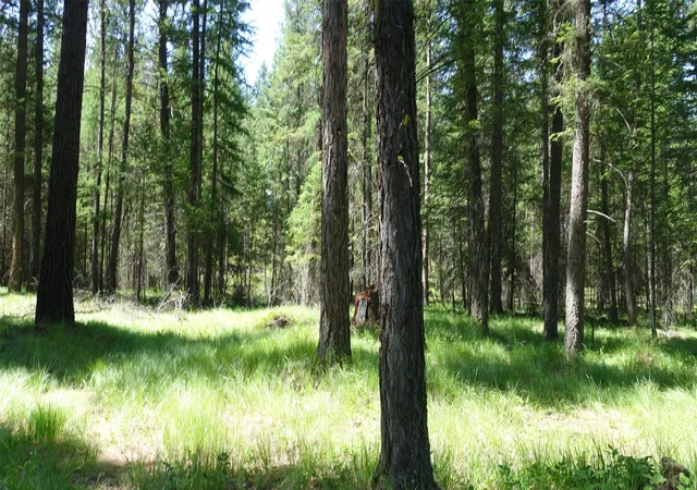 1st image of 00 Skyline Wy, Libby, MT 59923 | MLS# 30073673