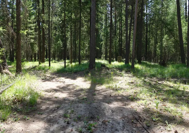 2nd image of 00 Skyline Wy, Libby, MT 59923 | MLS# 30073673