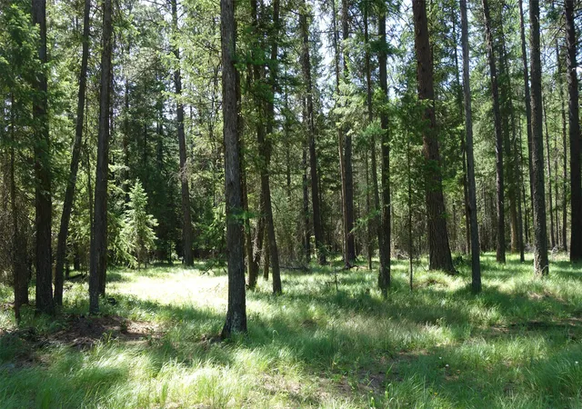 7th image of 00 Skyline Wy, Libby, MT 59923 | MLS# 30073673