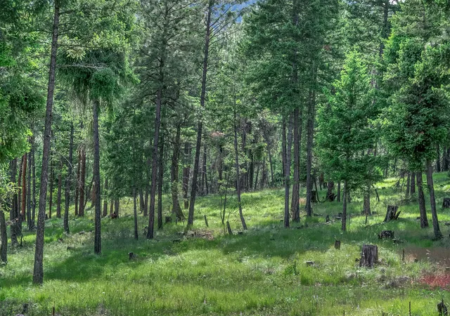 3rd image of 865 Lone Osprey Rdg, Somers, MT 59932 | MLS# 30073403