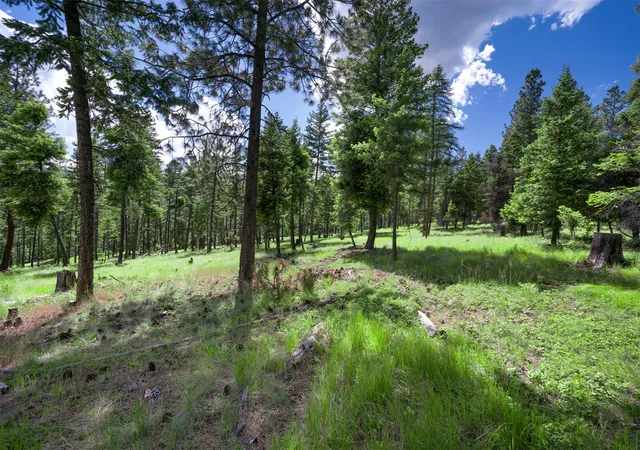 4th image of 865 Lone Osprey Rdg, Somers, MT 59932 | MLS# 30073403