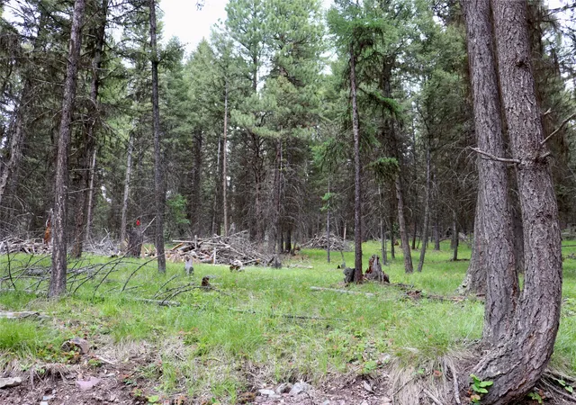 1st image of 1016 Grandview Dr, Seeley Lake, MT 59868 | MLS# 30073623