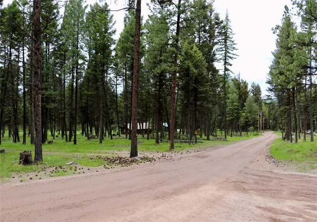 23rd image of 1016 Grandview Dr, Seeley Lake, MT 59868 | MLS# 30073623