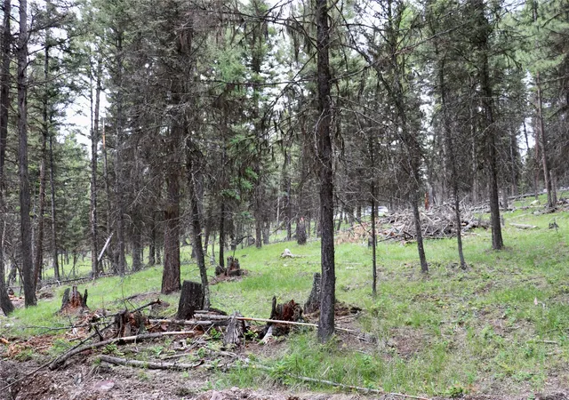 2nd image of 1016 Grandview Dr, Seeley Lake, MT 59868 | MLS# 30073623