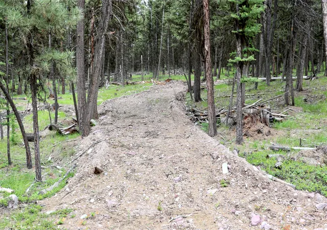 3rd image of 1016 Grandview Dr, Seeley Lake, MT 59868 | MLS# 30073623