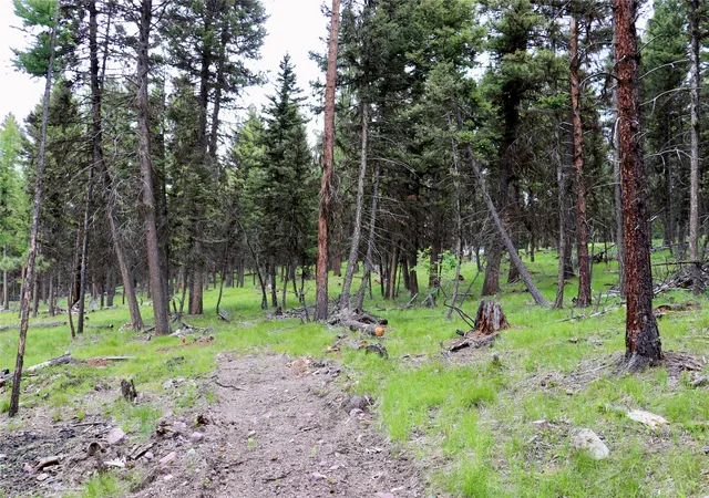 4th image of 1016 Grandview Dr, Seeley Lake, MT 59868 | MLS# 30073623