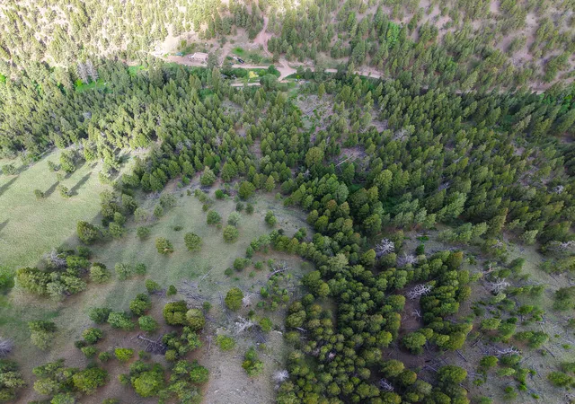 Photo 4 of Land for sale at 2270 Lynx Trl Dr, Wolf Creek, MT 59648 | MLS# 30073777 | Listing updated on 2026-07-28