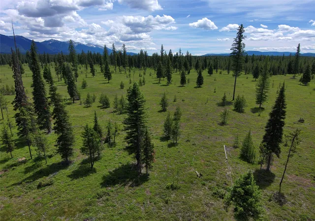 Photo 4 of Land for sale at 375 Remicks Rd, Condon, MT 59826 | MLS# 30073590 | Listing updated on 2026-08-01