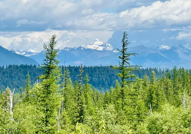 1st image of Nhn Glacier Hills Dr W, Martin City, MT 59926 | MLS# 30073628