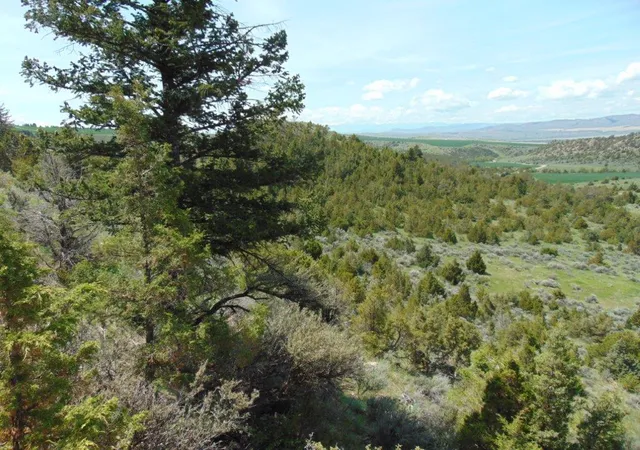 Photo 1 of Land for sale at Tbd Lone Wolf Trl, Three Forks, MT 59752 | MLS# 30073879 | Listing updated on 2026-08-04