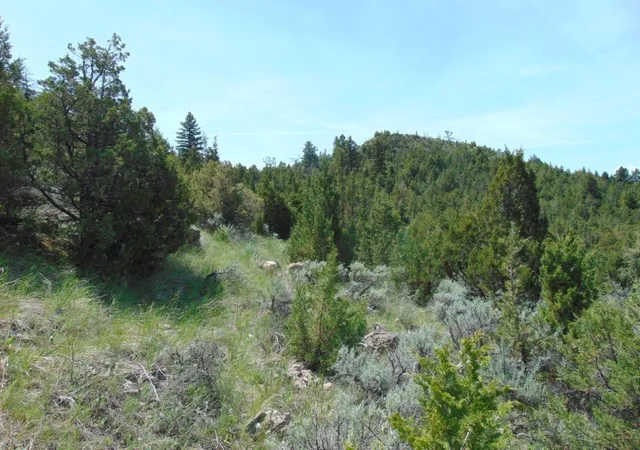 Homes for sale in Three Forks, MT | Tbd Lone Wolf Trl, Three Forks, MT 59752 | MLS# 30073879
