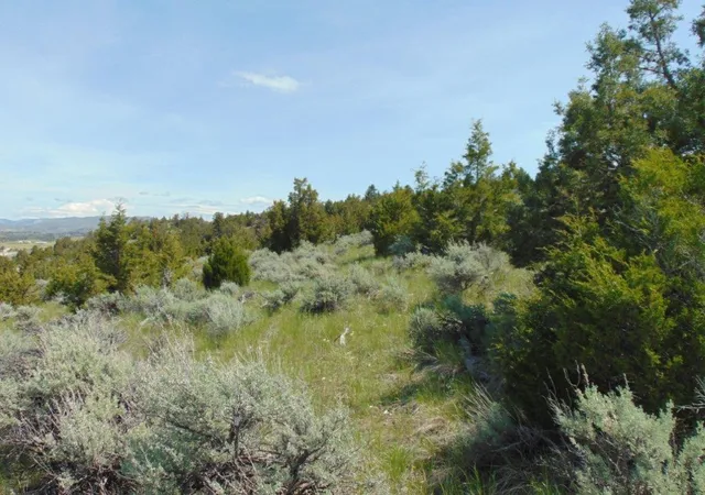 Photo 4 of Land for sale at Tbd Lone Wolf Trl, Three Forks, MT 59752 | MLS# 30073879 | Listing updated on 2026-08-04