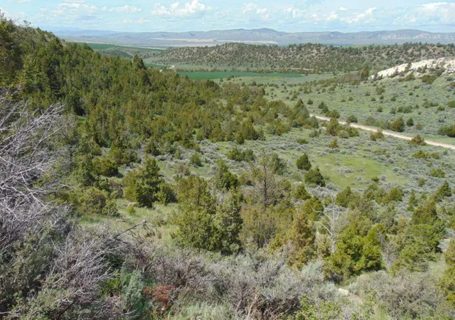 Photo 5 of Land for sale at Tbd Lone Wolf Trl, Three Forks, MT 59752 | MLS# 30073879 | Listing updated on 2026-08-04