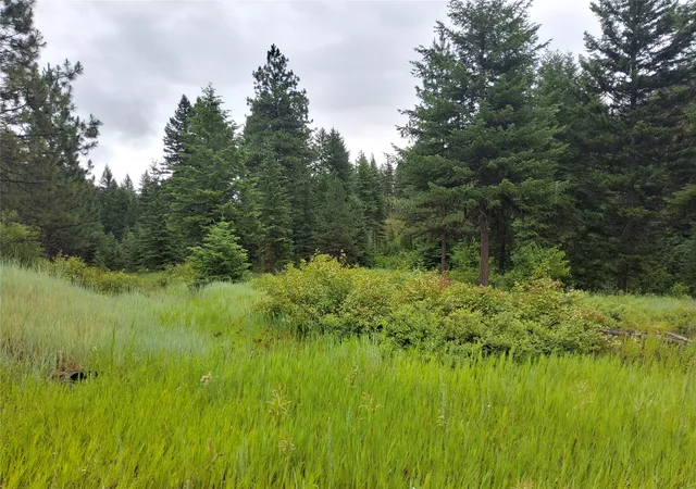 Homes for sale in Superior, MT | 1491 Verde Creek Rd, Superior, MT 59872 | MLS# 30073881