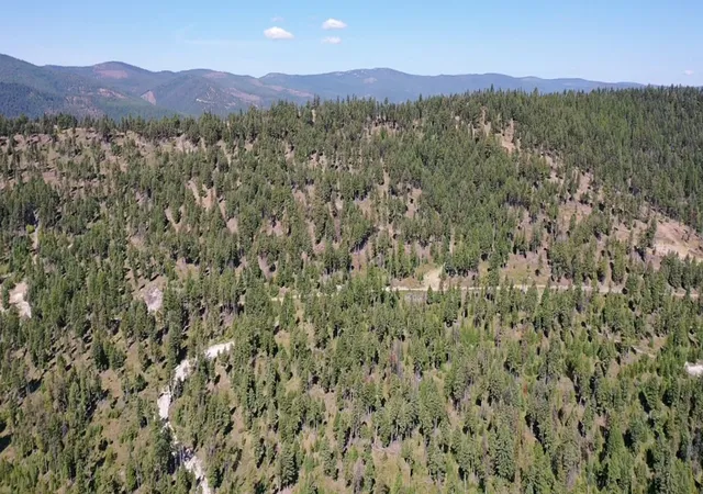 3rd image of 76 Hodge Rdg, Kila, MT 59920 | MLS# 30073901