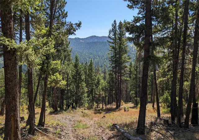 4th image of 76 Hodge Rdg, Kila, MT 59920 | MLS# 30073901
