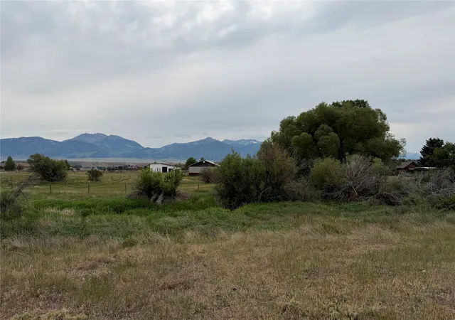 Homes for sale in Ennis, MT | Tbd Moorse Creek Ct, Ennis, MT 59729 | MLS# 30073904