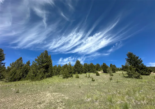 Homes for sale in Philipsburg, MT | 15 Power Plant Rd, Philipsburg, MT 59858 | MLS# 30073886