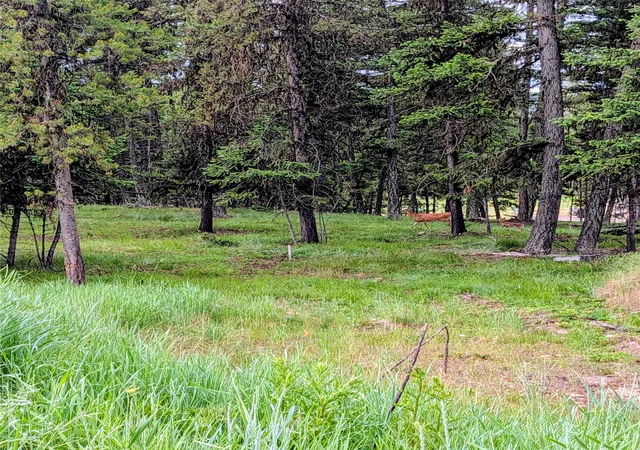 14th image of 304 Seclusion Pt, Seeley Lake, MT 59868 | MLS# 30073905