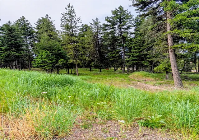 1st image of 304 Seclusion Pt, Seeley Lake, MT 59868 | MLS# 30073905