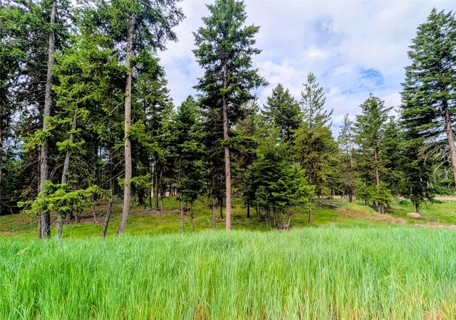 4th image of 304 Seclusion Pt, Seeley Lake, MT 59868 | MLS# 30073905